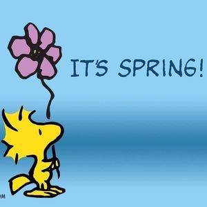 Meet your Posher, Cyndi